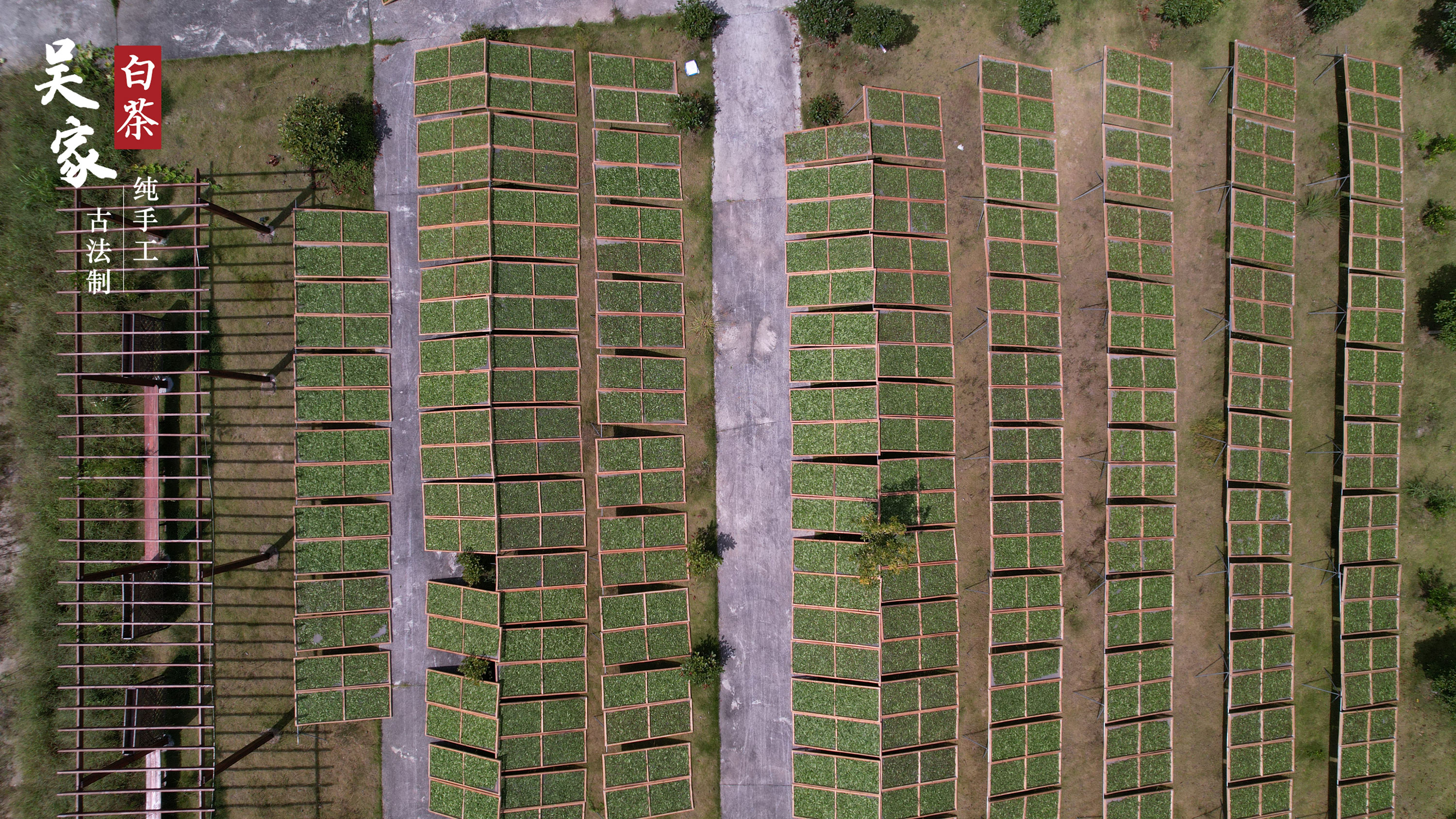 DJI_0765.JPG