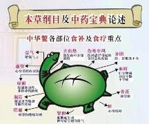 立體工廠化甲魚養(yǎng)殖就是你的機(jī)會(huì)