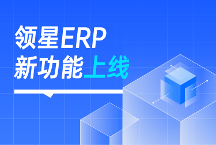 亞馬遜ERP領(lǐng)星功能上新 | 讓跨境業(yè)務(wù)運營和管理更具效益！