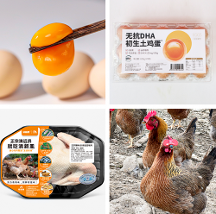 好雞好蛋齊相伴！錢大媽上市清遠(yuǎn)雞，無抗蛋，你愛了嗎？