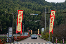 茶報(bào)|2023中國(guó)?龍游黃茶首屆開(kāi)采節(jié)暨虔龍黃茶新品發(fā)布會(huì)