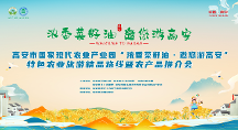 濃香菜籽油，邀您游高安，4月26-29日,不見不散！