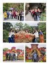 天天傳奇 “ 巴馬探秘 ” 之旅圓滿成功！
