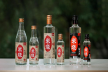 春糖頂流 高燃收官 | 能賦·米燒征程不止，勇毅前行耀未來！