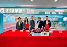 小糖茉茉深受消費者信賴，健康理念引航消費潮流