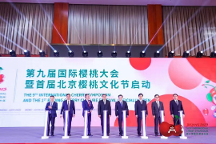 北京、澄城兩地同時(shí)點(diǎn)亮櫻桃行業(yè)的“奧運(yùn)會(huì)”！