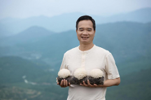 高品質(zhì)銀耳品牌，金燕耳傳承銀耳食養(yǎng)文化