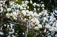 花香共富路，鄉(xiāng)村煥新顏，幫忙APP培養(yǎng)新農(nóng)村勞動力