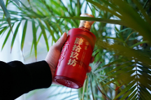 善釀者醬香型白酒肆拾玖坊入口綿柔不辣喉，回味綿長風味正宗