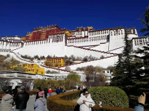 2023，你欠林芝桃花一場(chǎng)說(shuō)走就走的西藏旅游