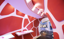 探究免疫細(xì)胞的巨大作用 中源協(xié)和免疫細(xì)胞有什么好？