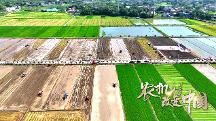 濰柴雷沃年度特別企劃 紀錄片《農(nóng)機改變中國》上線