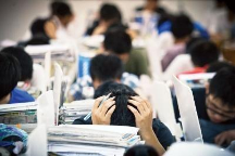 高考填志愿愁死人，桂花樹下青少年生涯規(guī)劃平臺幫你做好升學規(guī)劃