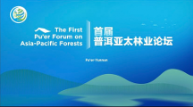 中林國控應(yīng)邀首屆普洱亞太林業(yè)論壇，推動(dòng)“大森林 + 大醫(yī)藥”助力綠色經(jīng)濟(jì)崛起