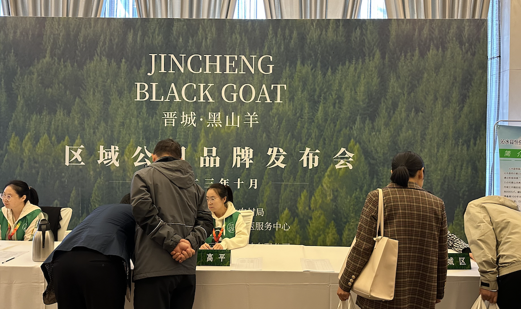 https://img2.danews.cc/upload/ajax/20231114/bd532080b9eb99eebf72da4bbd27ffab.png