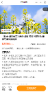房車生活家租房車旅游，打卡中國(guó)最 美油菜花