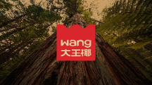 大王椰LOGO煥新背后，如何打造年輕人的品牌！