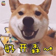 全民嚴選新年派”兌” 積分兌換GET大牌好物 更有會員首單禮1元購好物!